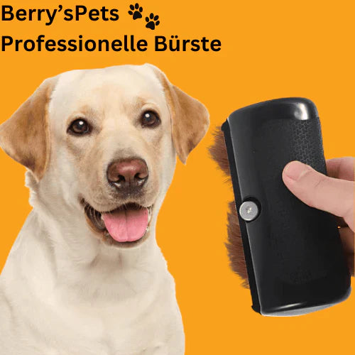 💥Haustiere🐕Professionelle Bürsten