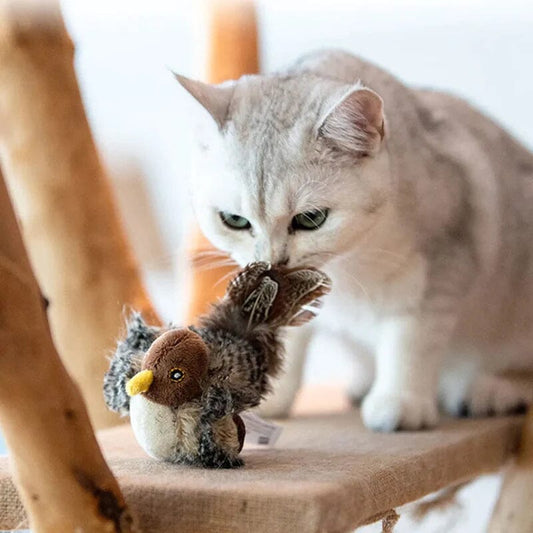 🔥GROSSER VERKAUF 49% RABATT🔥😻🐾Interaktives zwitscherndes Vogel-Katzenspielzeug