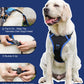 HOT SALE🔥Hundegeschirr und einziehbare Leine in einem Set